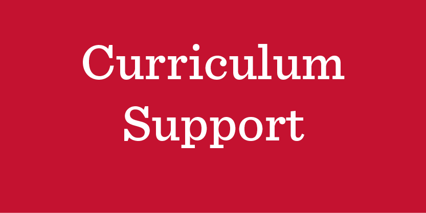 Curriculum Support